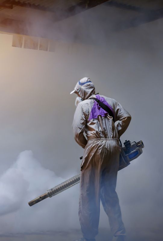 Roach Fumigation in Fort Collins, CO